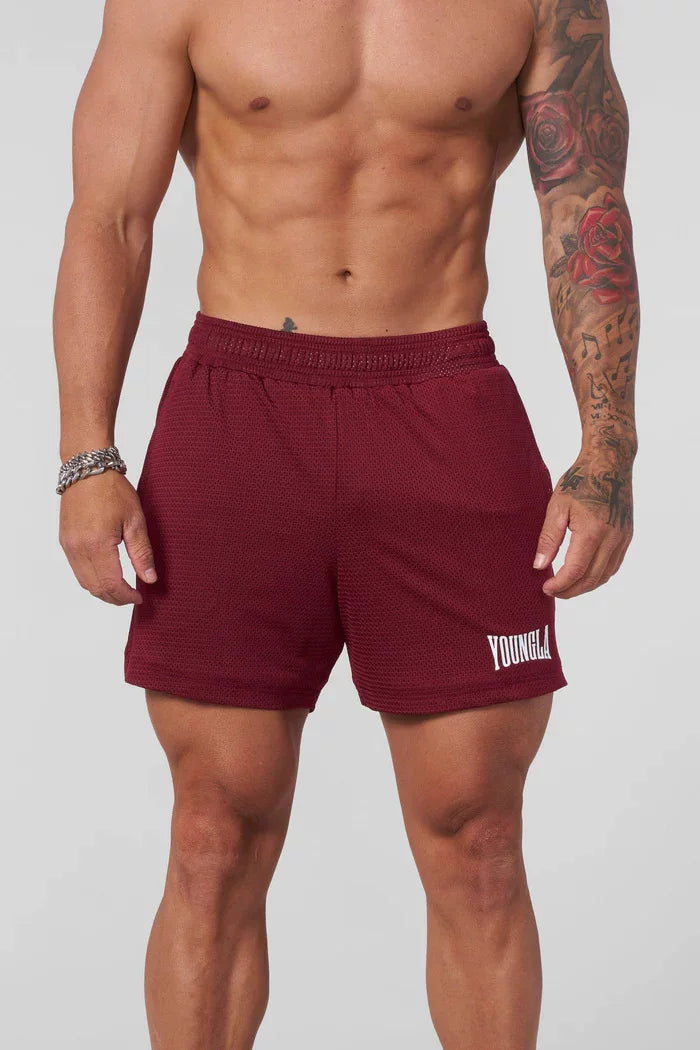 YOONGLA Summer Men's Shorts Jogger Muscle Exercise Fitness Mesh Quick Drying Breathable Training Beach Pants